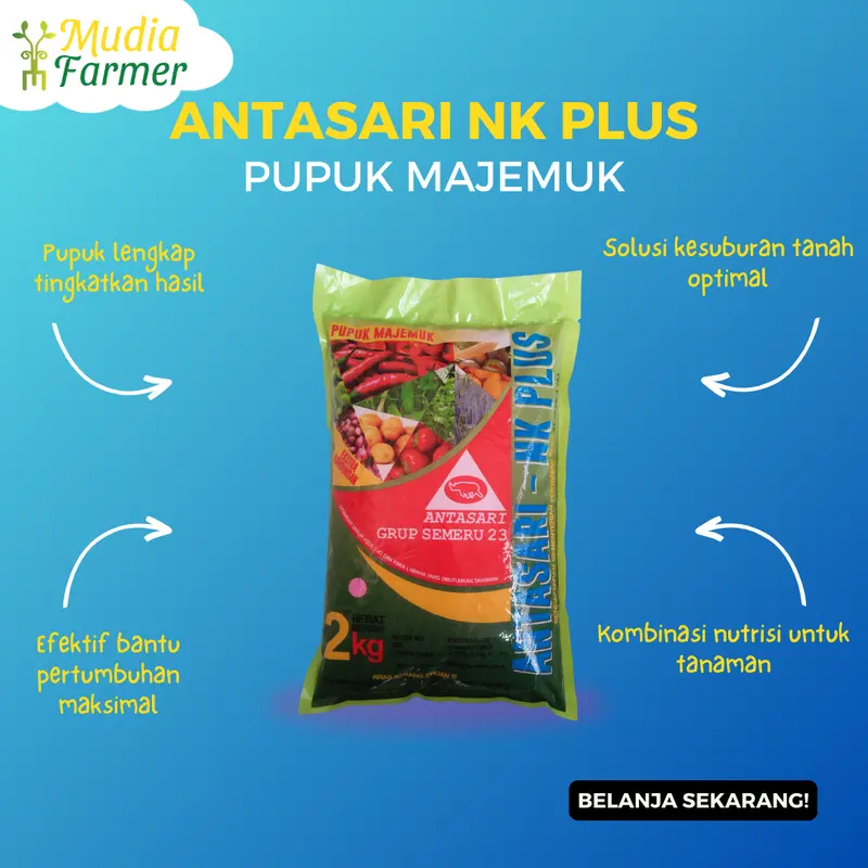ANTASARI NK PLUS PUPUK MAJEMUK - Pupuk Majemuk untuk Pertumbuhan Tanaman Optimal! 2