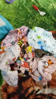 Product Review of 12 Pcs Celana Dalam Anak Laki-Laki dan Perempuan 1-6 tahun Motif dan Warna Lucu from f**2 0