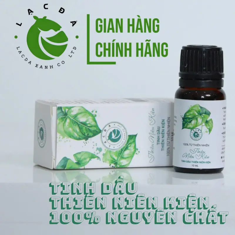 Tinh dầu thiên niên kiện Lạc đà xanh 10ml – Dùng xoa bóp, massage – Tốt cho gân cốt dầu  xoa 0
