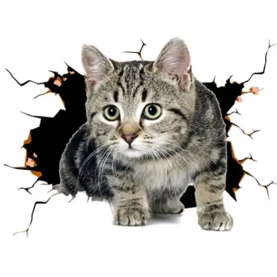 stiker 3D kucing lucu, size 10 x 10 cm, stiker print sudah cutting, anti air