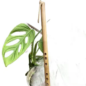 Suling sunda jenis wiscaya 56