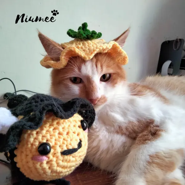 Topi Kucing Karakter Murah Lucu / Topi Kucing Rajut Labu / Cat Hat | Niumee 1