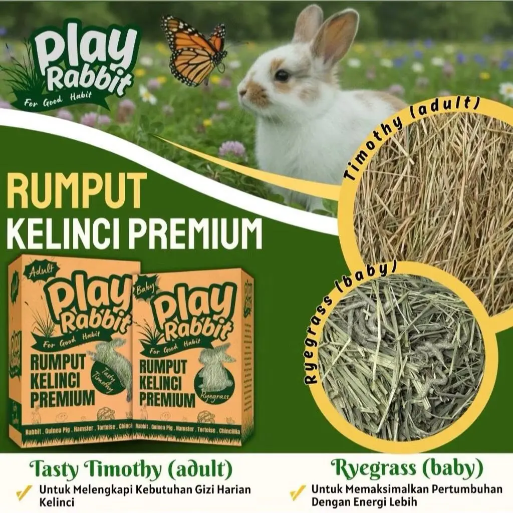 Play Rabbit - Rumput Kelinci Ryegrass and Tasty Timothy PREMIUM Makanan Kelinci