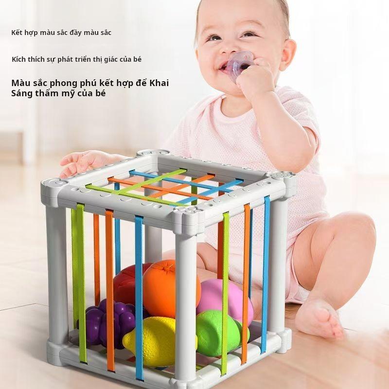  Đồ Chơi Giáo Dục Sớm Ciseler Cầu Vồng Rèn Luyện Cầm Nắm Thông Minh Nhận Biết Màu Sắc Vui Nhộn Giáo Dục Thích Hợp Cho Bé 