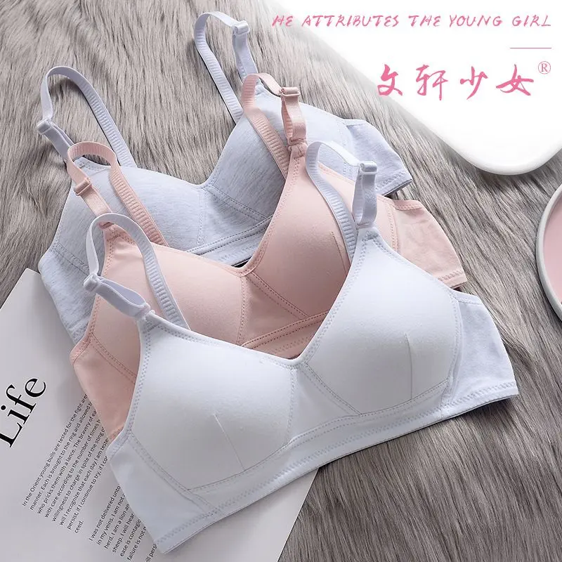 Product Introduction of PROMO HEMAT 3 Pcs BRA BH Wanita tanpa kawat cantik Cup A/B kait 2  Pakaian dalam wanita size 34-42 1