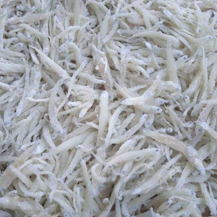 Grosir teri nasi asin / Teri Medan kering / Teri putih Best Seller 2