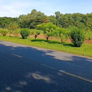 Cửa Hàng c à phê