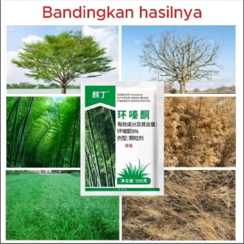 Tree Killer Hexazione Pembasmi Bambu Pohon Rumput Liar Gulma 2