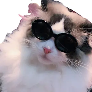 Kacamata Hewan Peliharaan  Kacamata hitam aksesori keren  pelindung sinar matahari
