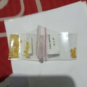 Aneka Benih Bibit Biji Super Cabai Cabe Rawit Dll
