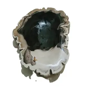 Asbak dari Batu Fossil dengan Pilihan Warna yang Bisa Dipilih Sesuai Kebutuhan Pembeli Melalui Chat Request Warna Meskipun Tidak Ada Pilihan yang Tersedia