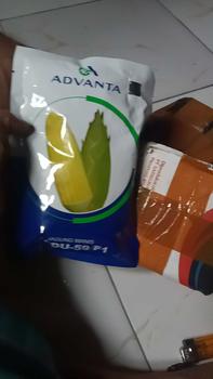 Product Review of Benih Jagung Manis MADU-59 F1 isi 250gr dari ADVANTA from N**3 0