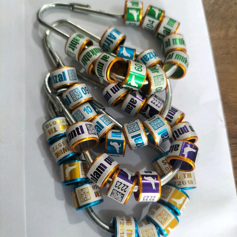 Gelang Burung Cicin Burung Custom Nama Sendiri Isi 10 Pcs 4