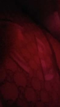 Product Review of Abaya Shanum Youris Premium gamisabaya Wanita from t**i 0