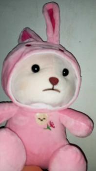 Product Review of Boneka teddy bear cosplay stich lotso dinosourus rabbit panda maenan anak from q**x 0