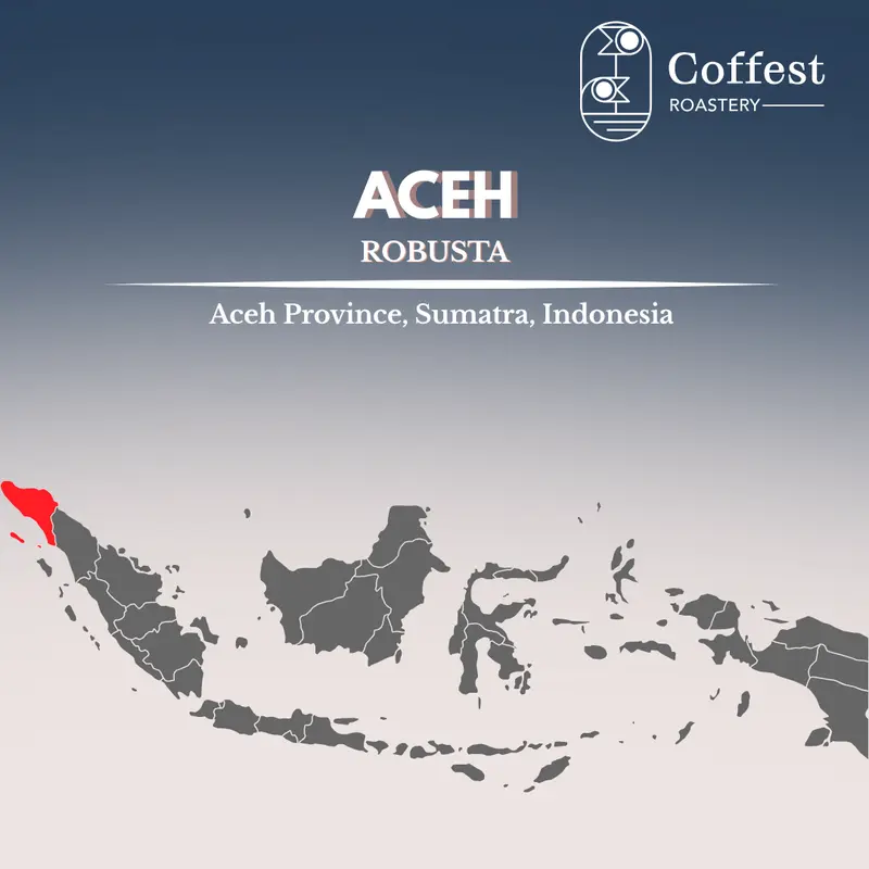 Green Bean Robusta Aceh - Grade 1 - Biji Kecil - Natural Processed - 1 kg 2