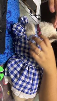 Product Review of Pet Dress Floral Pattern Pleated Hemming Windproof Pet Vest Puppy Flying Sleeve Clothes for Spring from E**R A**A 2