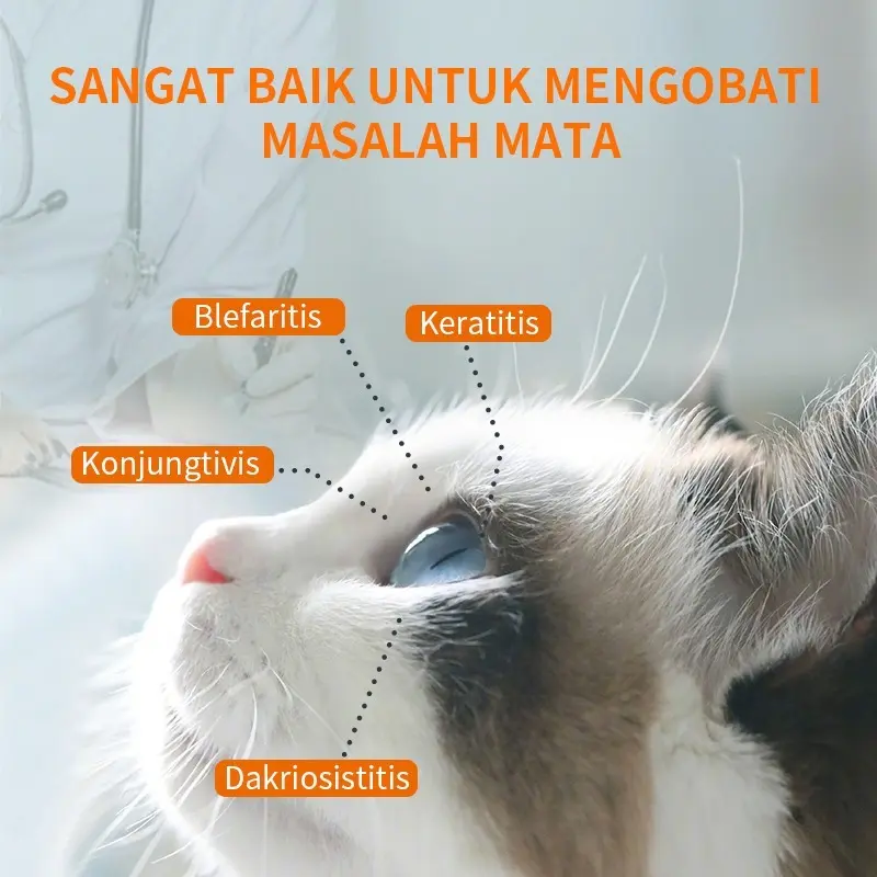 PUAINTA 8ml/botol Tetes Mata untuk Kucing dan Anjing Konjungtivitis Keratitis Mata Kemerahan dan Nanah di Mata 2
