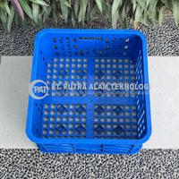 Gambar Rabbit Container Plastik Berlubang 5015 dari Putra Alam Teknologi Kab. Bekasi 4 Tokopedia