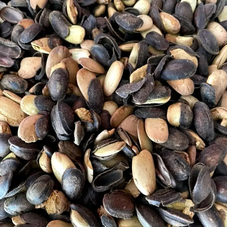 Biji Kedawung Asli 500 Gram - Camilan Sehat dan Alami Makanan Food