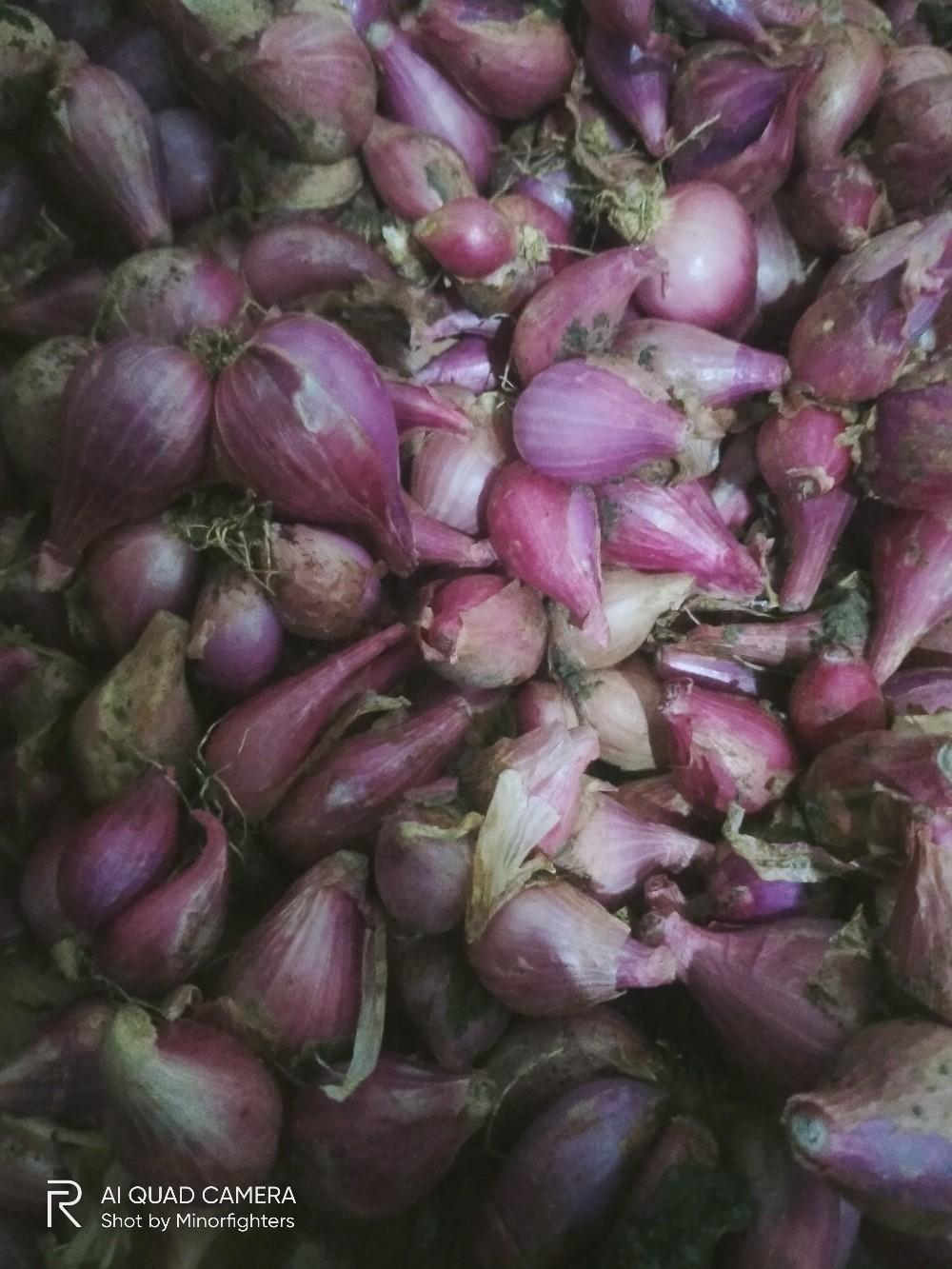 bumbu dapur bawang merah sedang campur