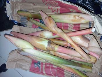 Product Review of Kecombrang bumbu masak 1kg yang kami kirim kecombrang utuh from 🥰**a v**🥰 2