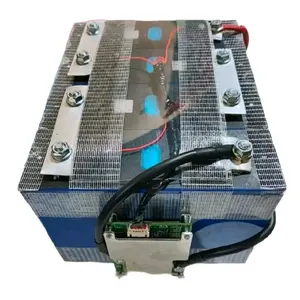 lifepoo4 Spek 12v 100ah plus  bms siap pakai sel pendek