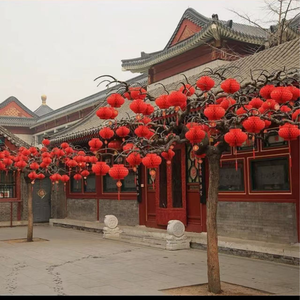 XIN XING Đèn Lồng