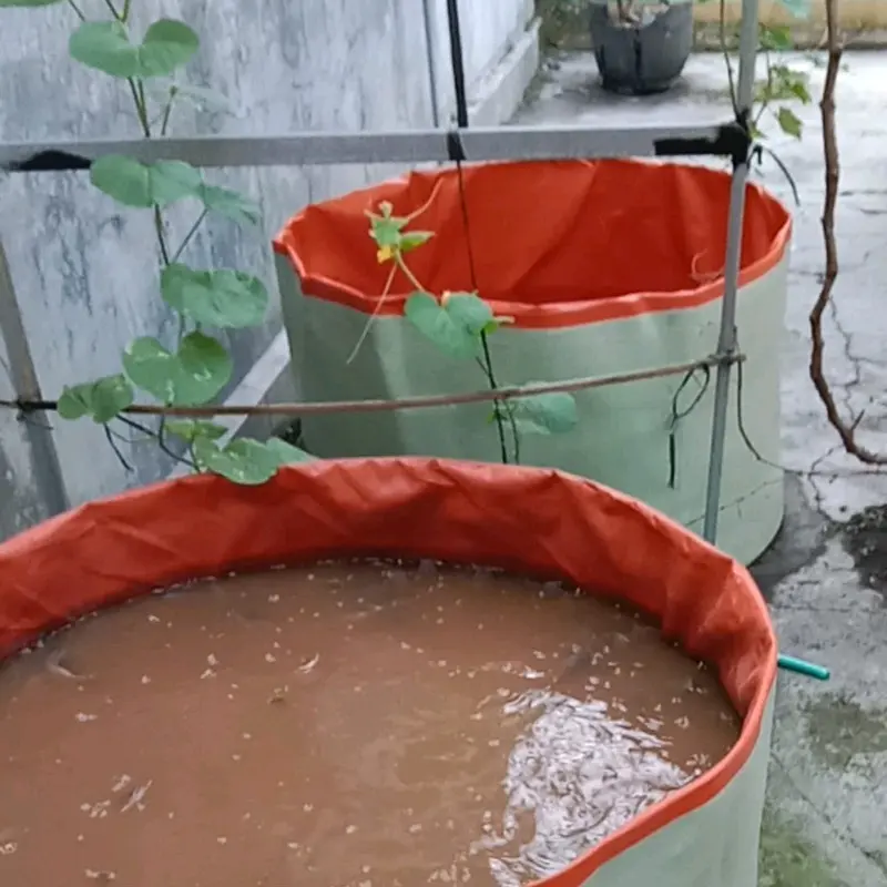 Kolam Terpal Bulat Tanpa Rangka Diameter 1,5m/150cm Tinggi 90cm Untuk Budidaya ikan Lele Nila Gurame Gabus Udang Belut Dll 3