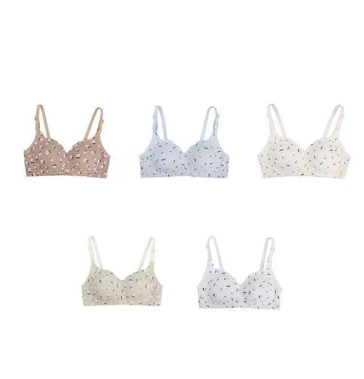 Product Introduction of Áo Ngực Nữ, Thiết Kế Hoa Tươi Không Có Vòng Thép, Thích Hợp Cho Ngực Nhỏ Thoải Mái Và Thoáng Khí, Có Thể Được Mặc Để Tập Hợp, Thích Hợp Cho Học Sinh Nữ, Phong Cách Đơn Giản 1