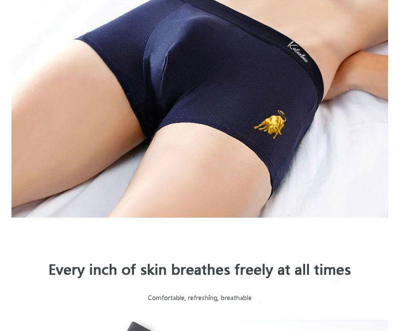 Product Introduction of High-quality 4-pack men&#39;s underwear, men&#39;s high-end cotton boxer briefs, trendy boys&#39; boxer shorts, large size 10
