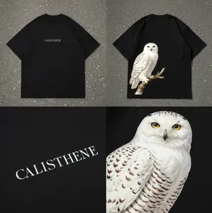 CALISTHENE T-Shirt Premium Katun 24s Relaxed Fit - BIRD 02