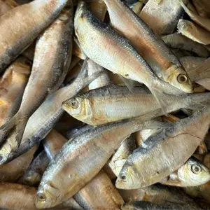 IKAN ASIN TEMBANG ATAU JUWI CEMENIT - KUALITAS SUPER - KERING 90 %