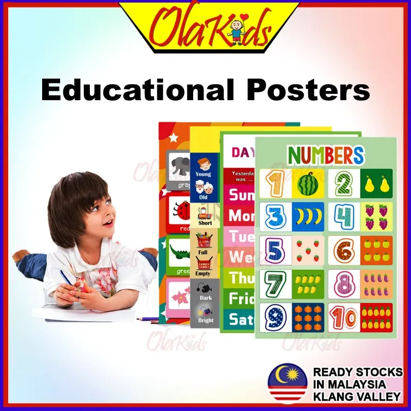 OLAKIDS 12 in 1 Set  Learning Wall Chart Learning For Kids ABC Learning Poster Educational Poster Pendidikan Awal Stationery Office school preschool option 1