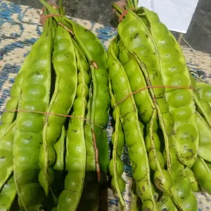 PETE PADI MANIS SISA SORTIR 15 PPN PETE RANDOM