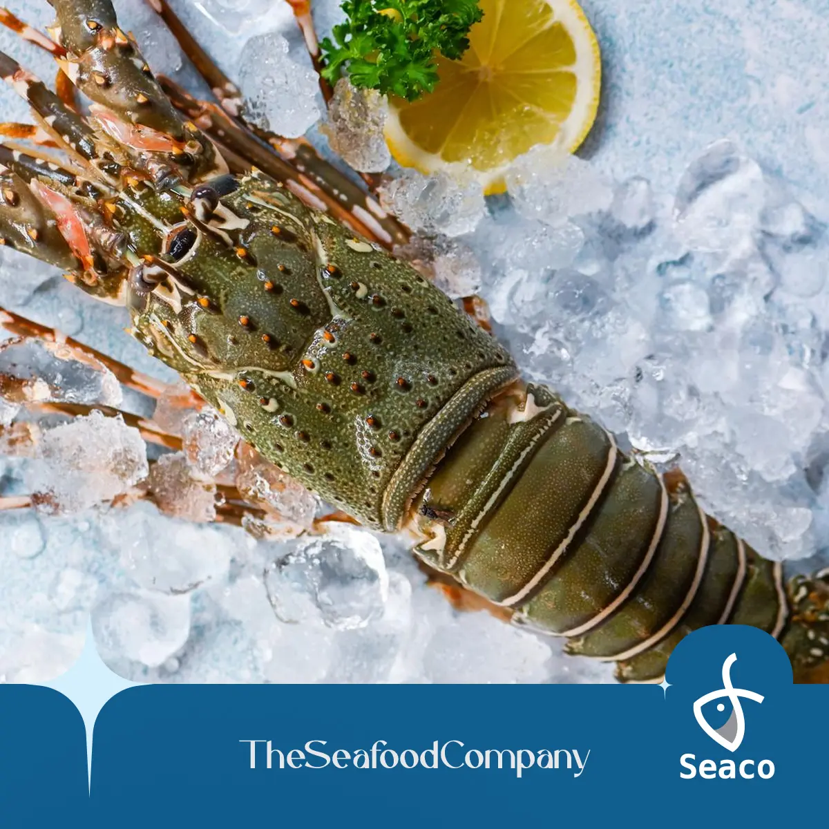 [Seaco] Bundle of 2 - Frozen Bamboo Lobster - 400gm - 500gm