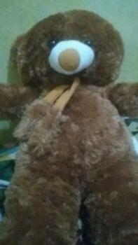Product Review of boneka teddy bear syal telapak 75cm from A**a s**r 0