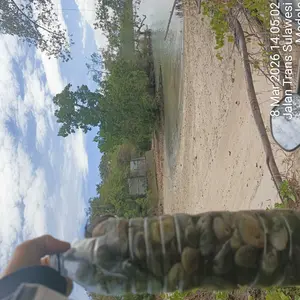 GP Pointer S Metal Detector Alat Pendeteksi Logam Detektor Emas Harta Terpendam Metal Emas Perak Deteksi Tahan Air Free Baterai