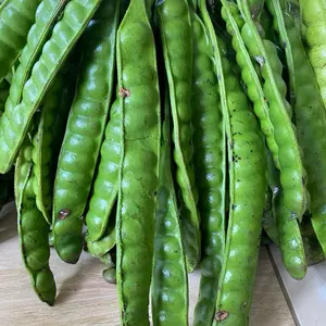 PETE SEDANG PETE PADI ASLI DARI WONOGIRI