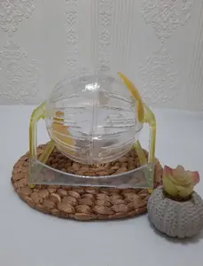 Mainan Hamster - Sweet Jogging Ball Hamster - Bola Hamster