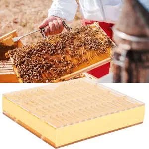 Alat Ternak Lebah Kotak Pemeliharaan Bee Queen Box Set Food Grade Warna Kuning