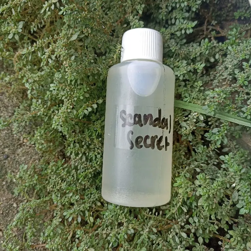 PARFUM SCANDALOUS ALL VARIANT WANGI AWET 24 JAM 0