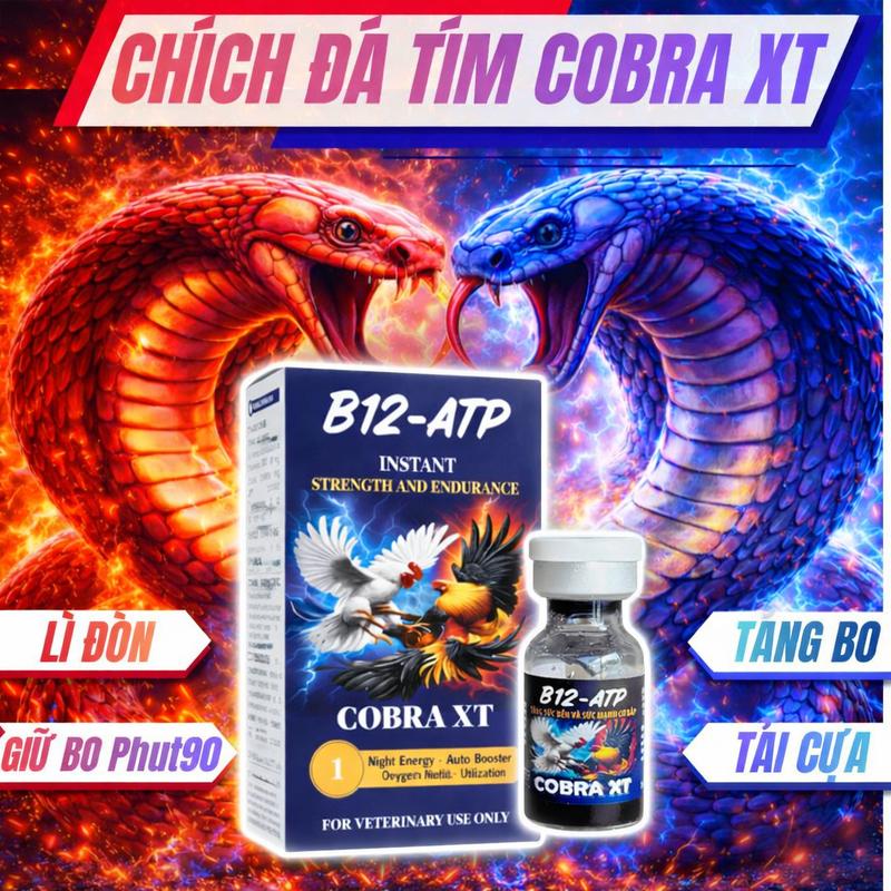 COBRA XT Chích tím Nước Tăng Lực Tăng Bo Giúp Gà Biểu Diễn Sung Tốt Cải Thiện Tốc Độ