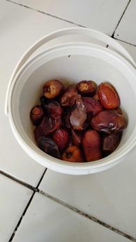 Product Review of PROMO (PAKET 2 Ember) Kurma Al-Kasem from a**a 1
