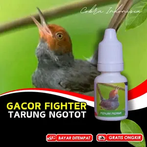 Vitamin Burung Prenjak