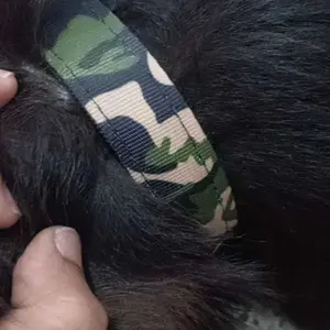 kalung anjing tebal motif loreng dog collar army | kalung kambing domba cempe