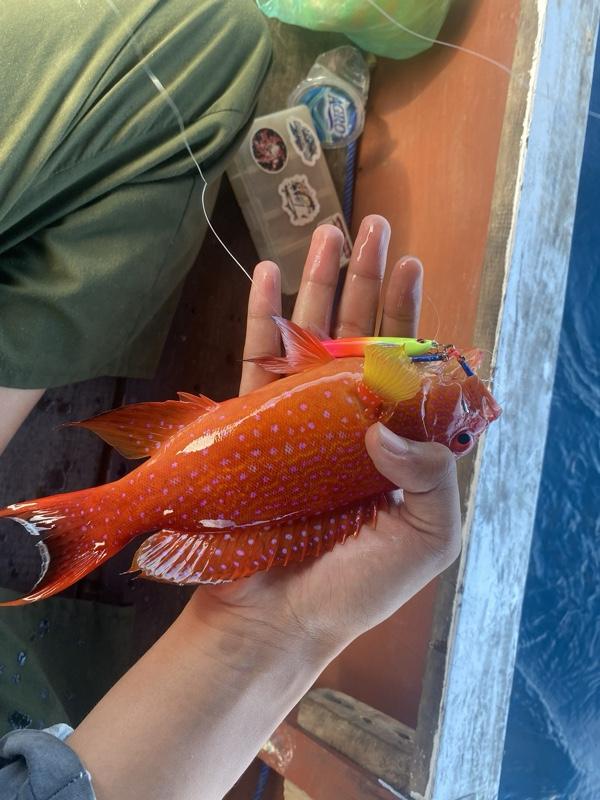 Micro jig Bolo-bolo jig 20gr (glow in the dark)