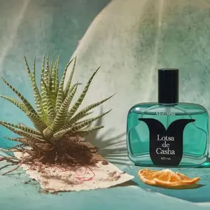 Manifest - Losta de Casha (Eau de Parfum / 80ML)