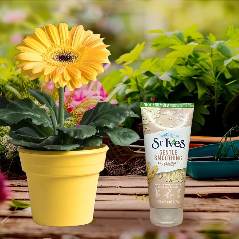 Sữa rửa mặt tẩy tế bào chết st.Ives scrub 170g thành phần thiên nhiên nuôi dưỡng làn da tươi trẻ mỗi ngày 1