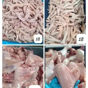 Sapu Taman Mini/Sapu Pucuk/Sapu Lidi Pucuk